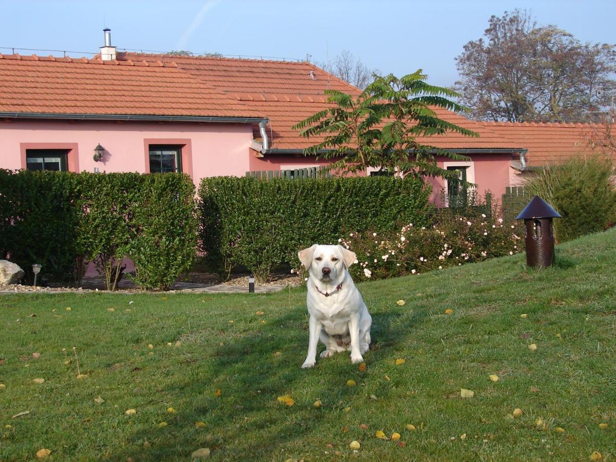 Penzion Na Lednicke Appartement Hlohovec Buitenkant foto